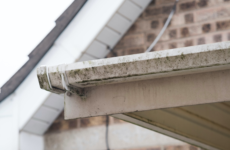 3 Great Reasons to Hire a Professional Cleaner for Your Gutters